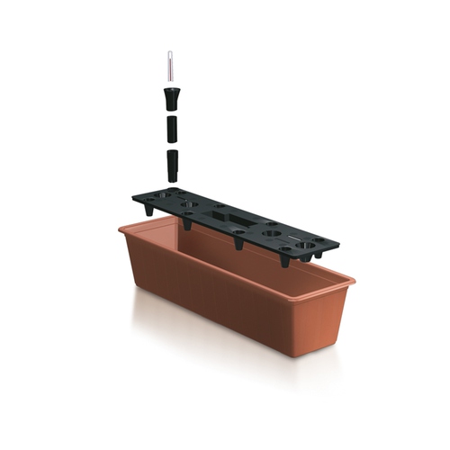 Mantener Plantas verano La Dehesa