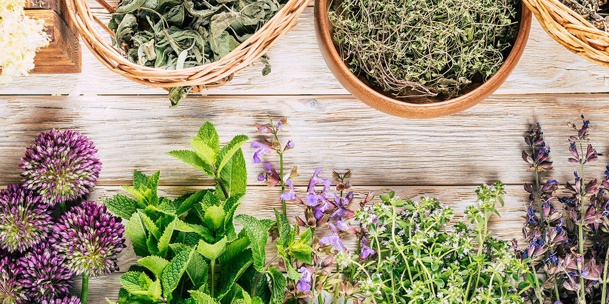 Foto noticia: Suplementos alimenticios naturales para tu bienestar